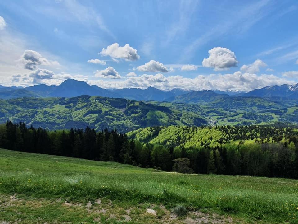 Holzhaus "Zum Schwarz'N" Apartamento Aurach am Hongar Exterior foto