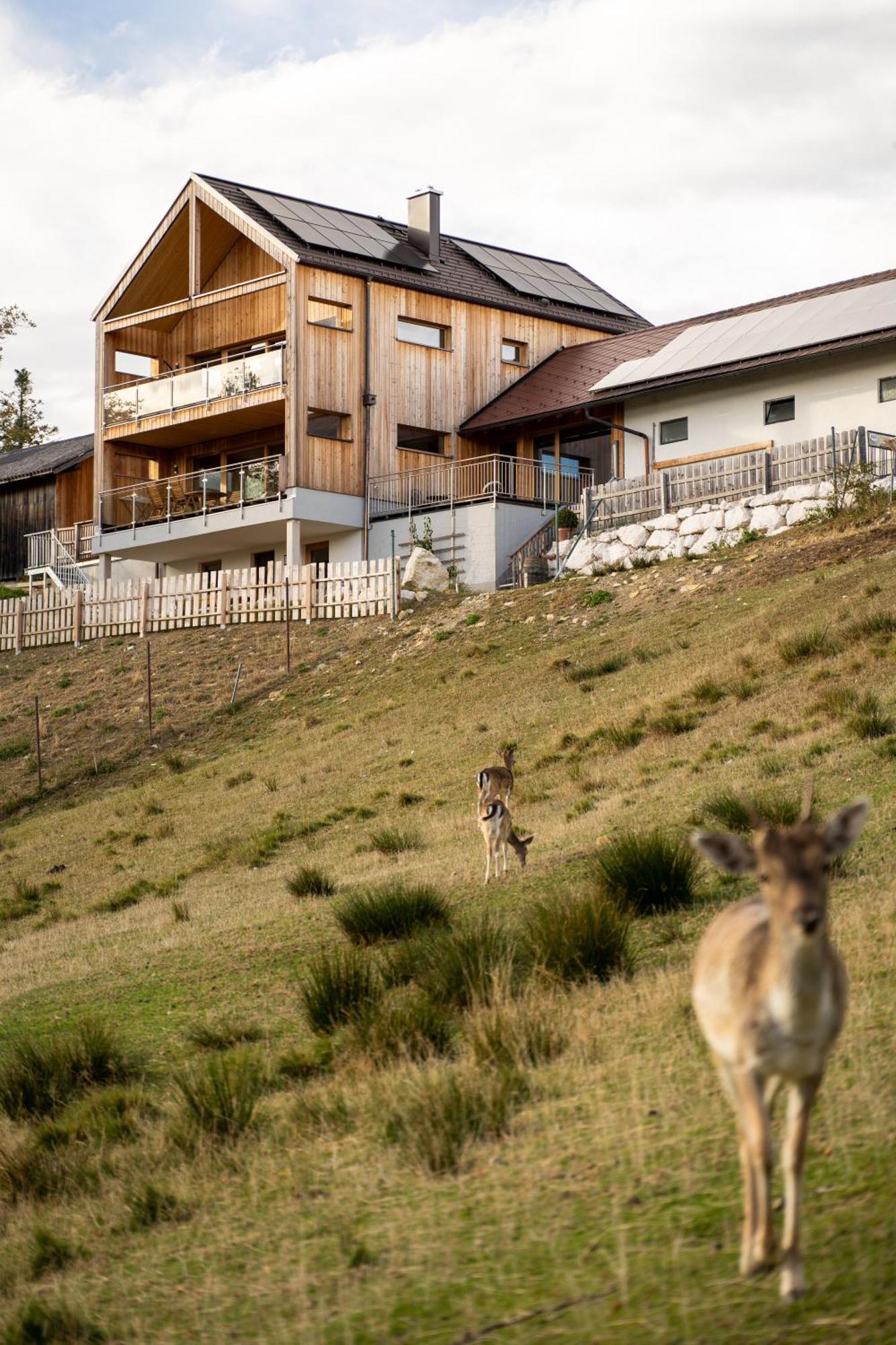Holzhaus "Zum Schwarz'N" Apartamento Aurach am Hongar Exterior foto